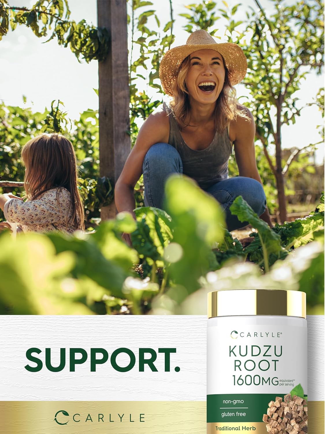 Carlyle Raíz de Kudzu Extracto | 100 Cápsulas | Fórmula No-GMO y Sin Gluten | Suplemento Herbal Tradicional