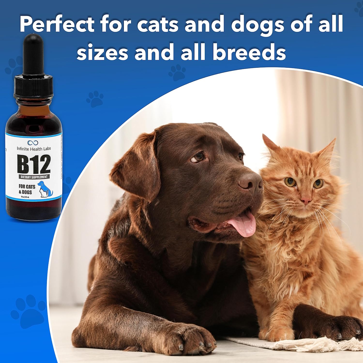 Líquido de Vitamina B-12 para Perros y Gatos - Metilcobalamina (Methyl B12) - Energía, Apetito y Estado de Ánimo