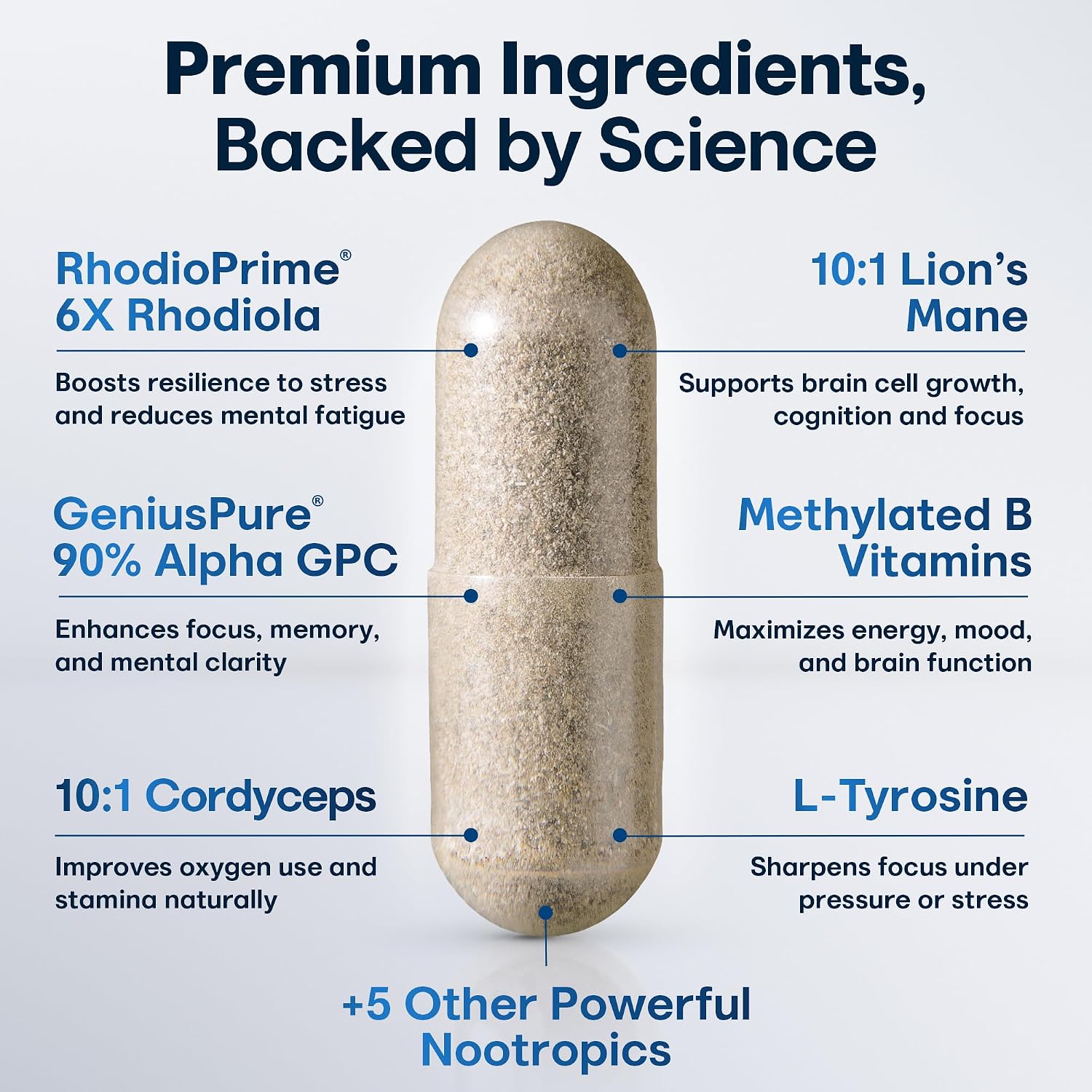 CRTX Nutrition Focus - Suplemento Nootrópico con AlphaGPC, Lion's Mane, Rhodiola - 90 Cápsulas
