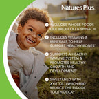 NaturesPlus Animal Parade Multivitamínico Infantil Sin Azúcar - Paquete de 2 - 90 Comprimidos Masticables