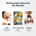 Better Alt Complejo de Sea Moss, Aceite de Semilla Negra, Ashwagandha, Bardana y Bladderwrack con Vitamina C y Pimienta Negra | 120 Cápsulas