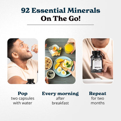 Better Alt Complejo de Sea Moss, Aceite de Semilla Negra, Ashwagandha, Bardana y Bladderwrack con Vitamina C y Pimienta – Image 6