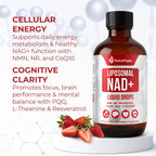 NutraPeaks NAD+ Complex Líquido - 1000mg con Nicotinamida Ribósido, NMN, Resveratrol, PQQ - 30 Stick Packs Sabor Berry