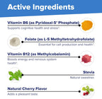 Superior Source No Shot Vitamina B12 Metilcobalamina 1000 mcg + B6 + Metilfolato 1000 mcg - 60 Comprimidos Sublinguales