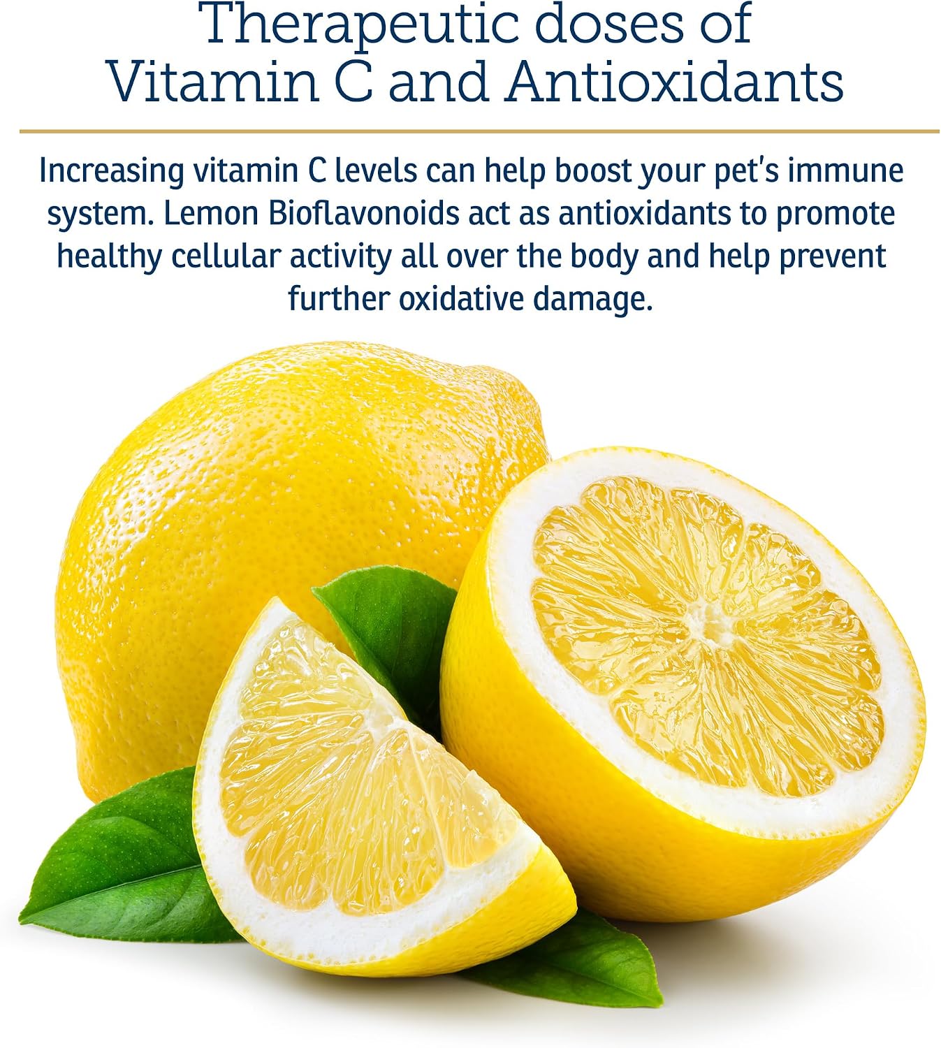 Rx Vitamins Bio-C - Vitamina C para Perros y Gatos con Bioflavonoides de Limón - 113 g
