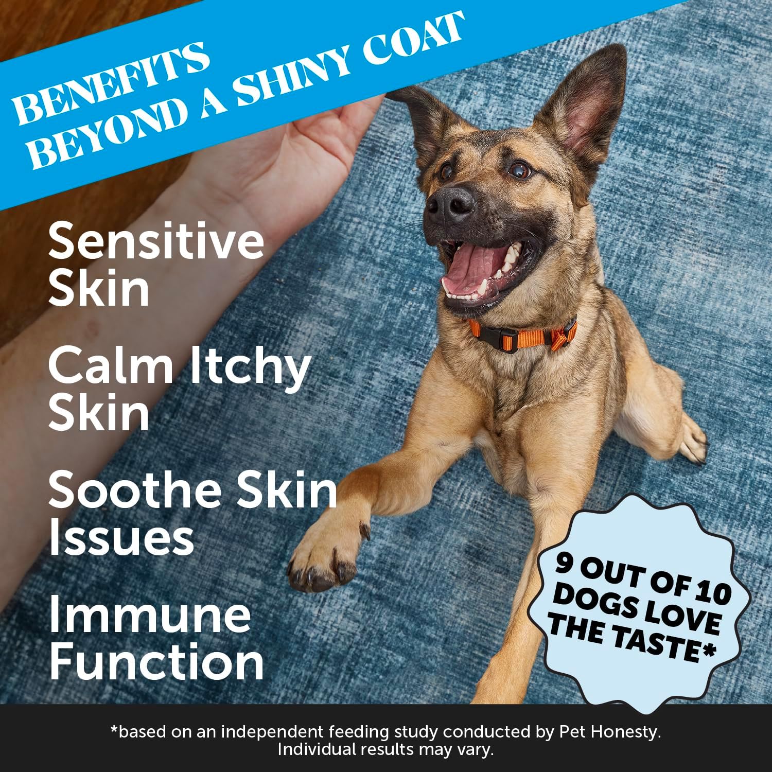 Pet Honesty Omega 3 para Perros - Suplemento de Aceite de Salmón para Piel y Pelo, 90 Chews