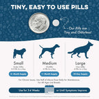 Fórmula para el Tratamiento de ITU y Salud Renal en Perros – Suplemento Urinario Natural – 400 Comprimidos Pequeños