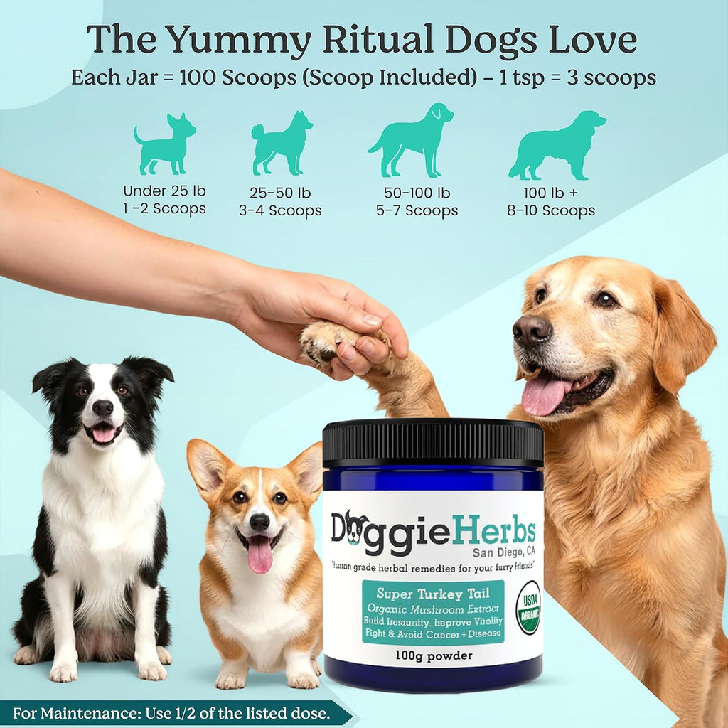 Doggie Herbs Extracto de Cola de Pavo de Alta Potencia - 55% Betaglucanos - 100g