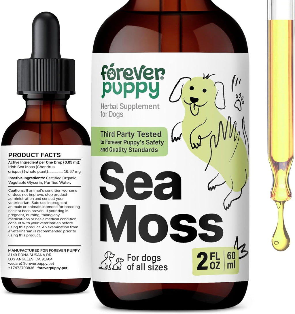 Irish Sea Moss Drops for Dogs - Thyroid Support & Energy - Nutritional Drops with Liquid Seamoss Extract - Dog Vitamins and Supplements for All Breeds & Sizes - Alcohol-Free - 59 ml