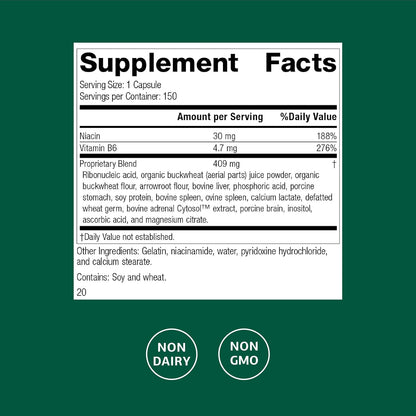 Standard Process Circuplex - Complemento – Función nerviosa: Tanto la niacina como la vitamina B6 contribuyen al – Image 2