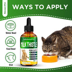 SalutemPet Cat Kidney Support - Cardo Mariano para Gatos - Suplemento Herbal para Riñones e Hígado - Sabor a Pollo - 2 oz