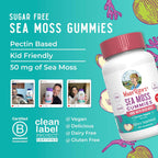 MaryRuth's Organics Gominolas sin Azúcar con Irish Sea Moss para el Apoyo Digestivo e Inmune | 60 Gomitas