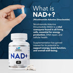 Suplemento de NAD 500 mg - Alternativa a NMN y Nicotinamida Ribósido - 60 Cápsulas