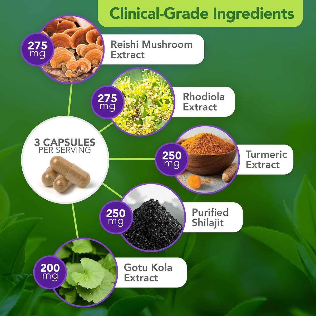 Vital Plan Daily Herbal Supplement - – Fomentar niveles de energía natural y vitalidad. – Image 4
