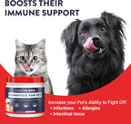 Geneflora Digestive Enzymes & Probiotics para Perros - Polvo 125g (Pack de 2)