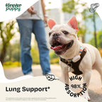 Forever Puppy Gotas de Apoyo Pulmonar para Perros - Extracto de Gordolobo y Equinácea - 59 ml