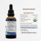 Secrets of the Tribe Wheatgrass USDA Organic - Extracto Sin Alcohol, Gotas Herbales de Alta Potencia - 100% Wheatgrass Orgánico Certificado (Triticum aestivum) Hoja Seca 60 ml