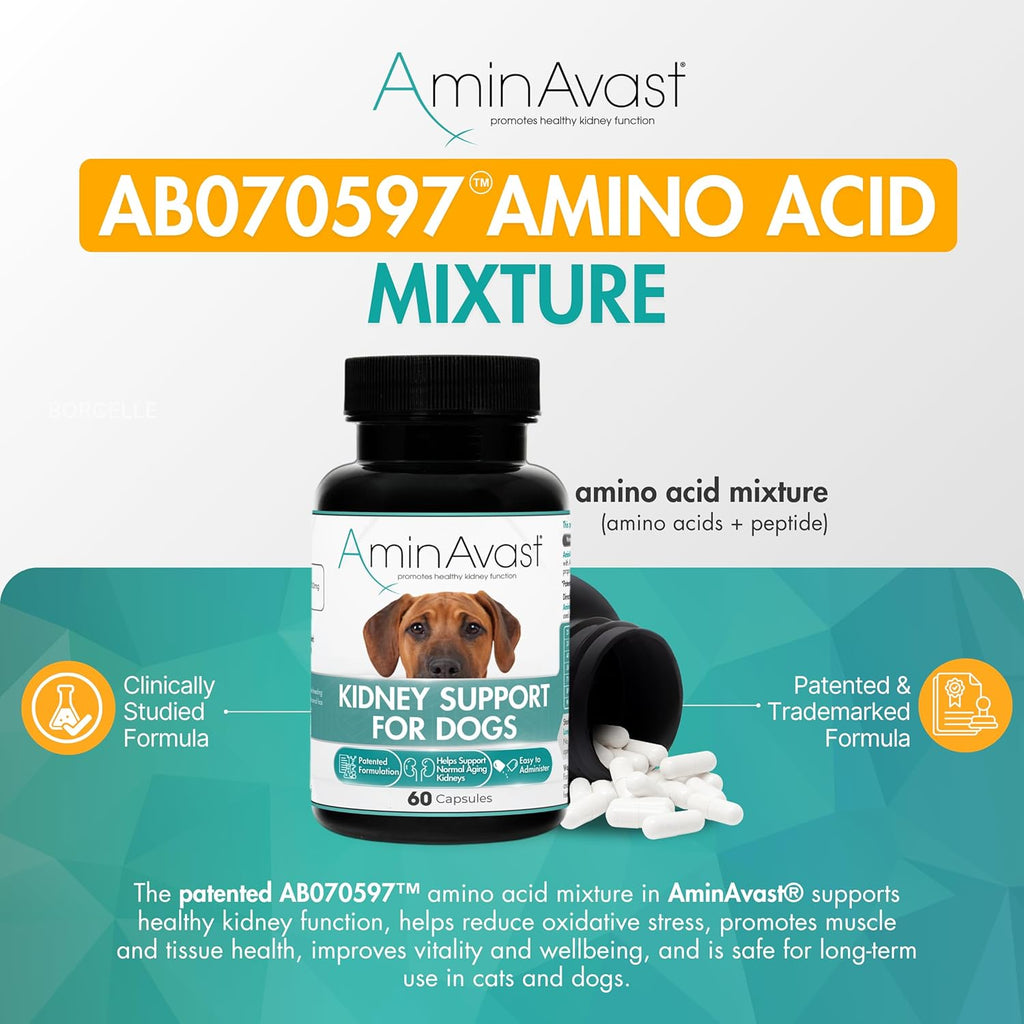 AminAvast Kidney Support - Suplemento para apoyo renal en perros (1000 mg, Pack de 3, 60 cápsulas)