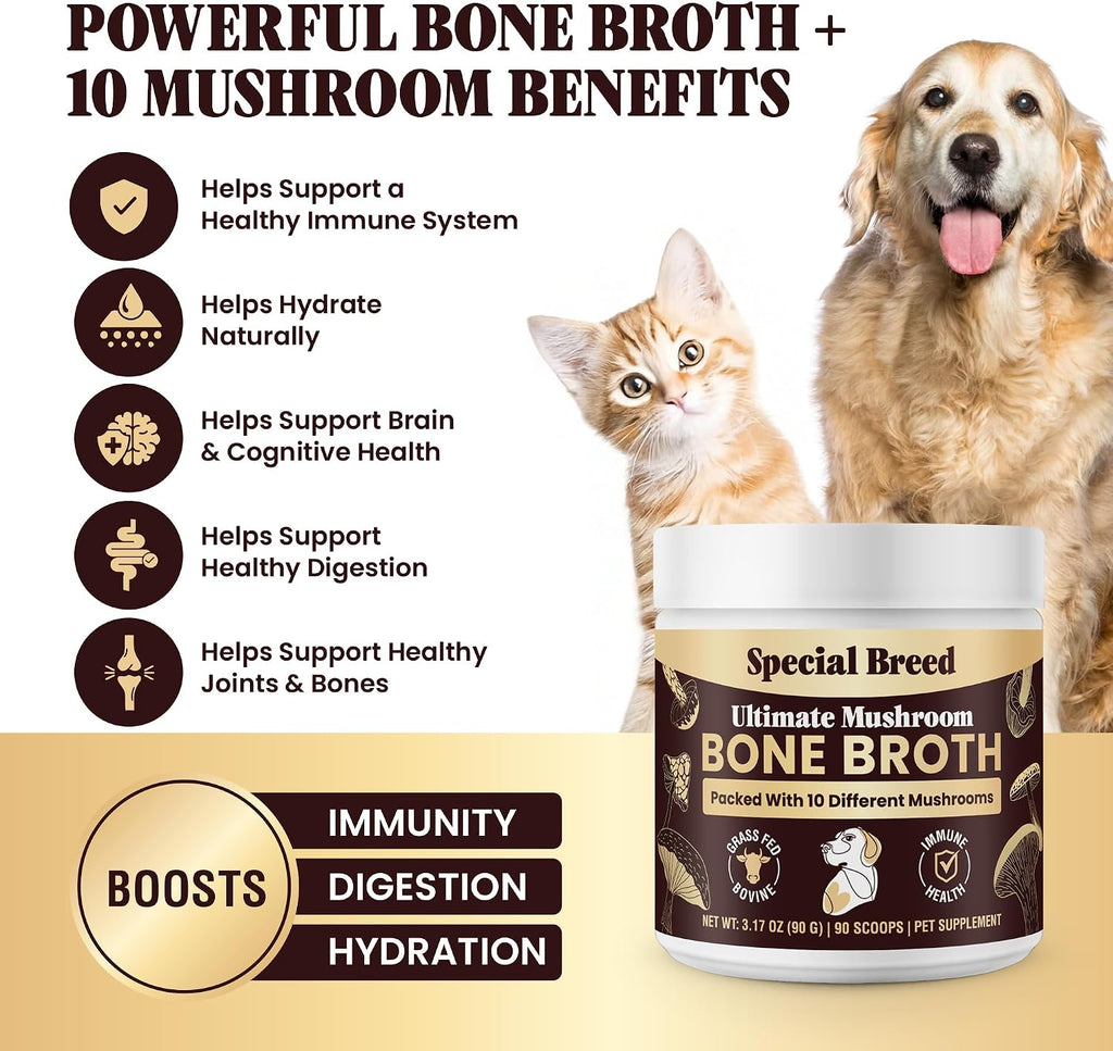 Special Breed Caldo de Huesos de Res para Perros - Proteína Alta con 10 Setas Orgánicas y Colágeno