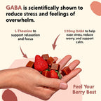 PYM Berry Mood Chews - 60 Gominolas con GABA y L-Teanina para Apoyo al Estrés, Preocupación y Agobio - Vegano, Sin Gluten, Sin Azúcares Añadidos