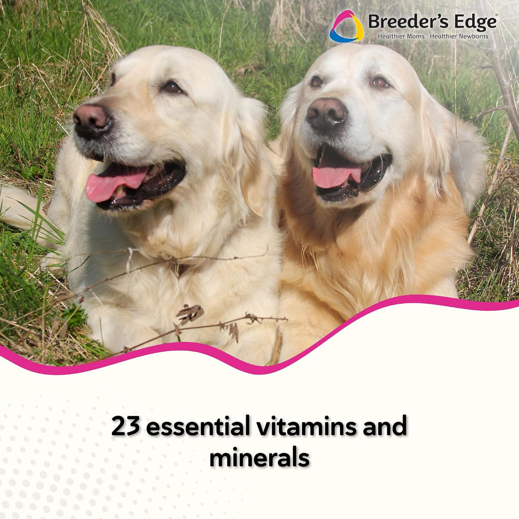 Breeder's Edge in Between for Her - Multivitamínico diario para perros y gatos reproductores - 360 comprimidos