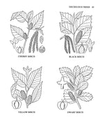Usos Medicinales y Otros de las Plantas Norteamericanas: Un Estudio Histórico con Especial Referencia a las Tribus Indias Orientales