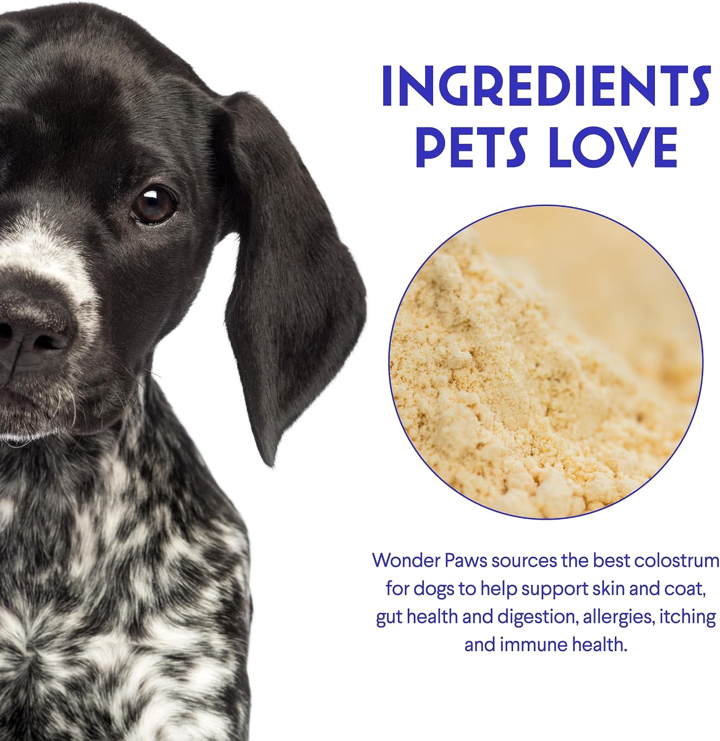 Wonder Paws Premium Grass Fed Colostrum for Dogs – Calostro Bovino Puro para Perros – 3.20 oz (90.7 g)