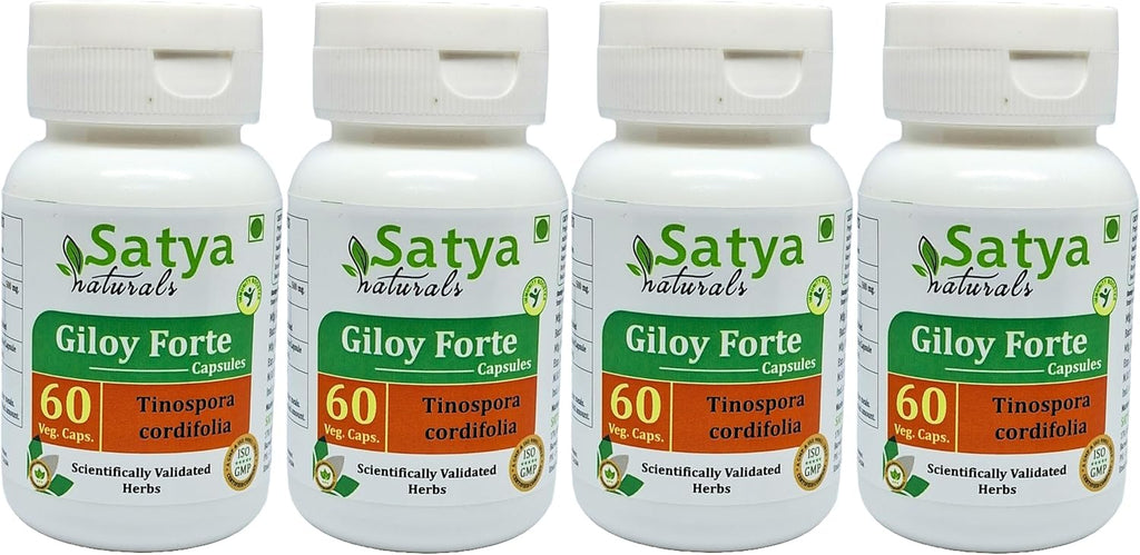 Giloy Forte 500 mg - 60 Cápsulas Veganas - Extracto de Guduchi (Tinospora Cordifolia) - Suplemento Ayurvédico