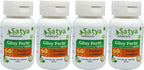Giloy Forte 500 mg - 60 Cápsulas Veganas - Extracto de Guduchi (Tinospora Cordifolia) - Suplemento Ayurvédico