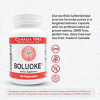 Boluoke Lumbrokinase - 60 Cápsulas - Enzima para el Bienestar Circulatorio