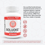 Boluoke, 60 cápsulas (paquete de 2)
