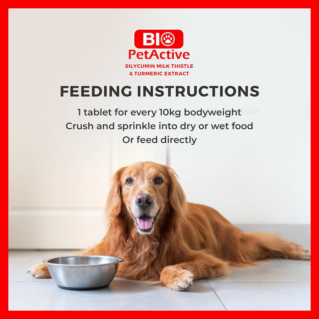 Bio PetActive Silycumin Cardo Mariano y Cúrcuma para Perros - 45 Comprimidos Masticables
