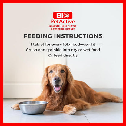 Bio PetActive Silycumin Cardo Mariano y Cúrcuma para Perros - 45 Comprimidos Masticables – Image 6
