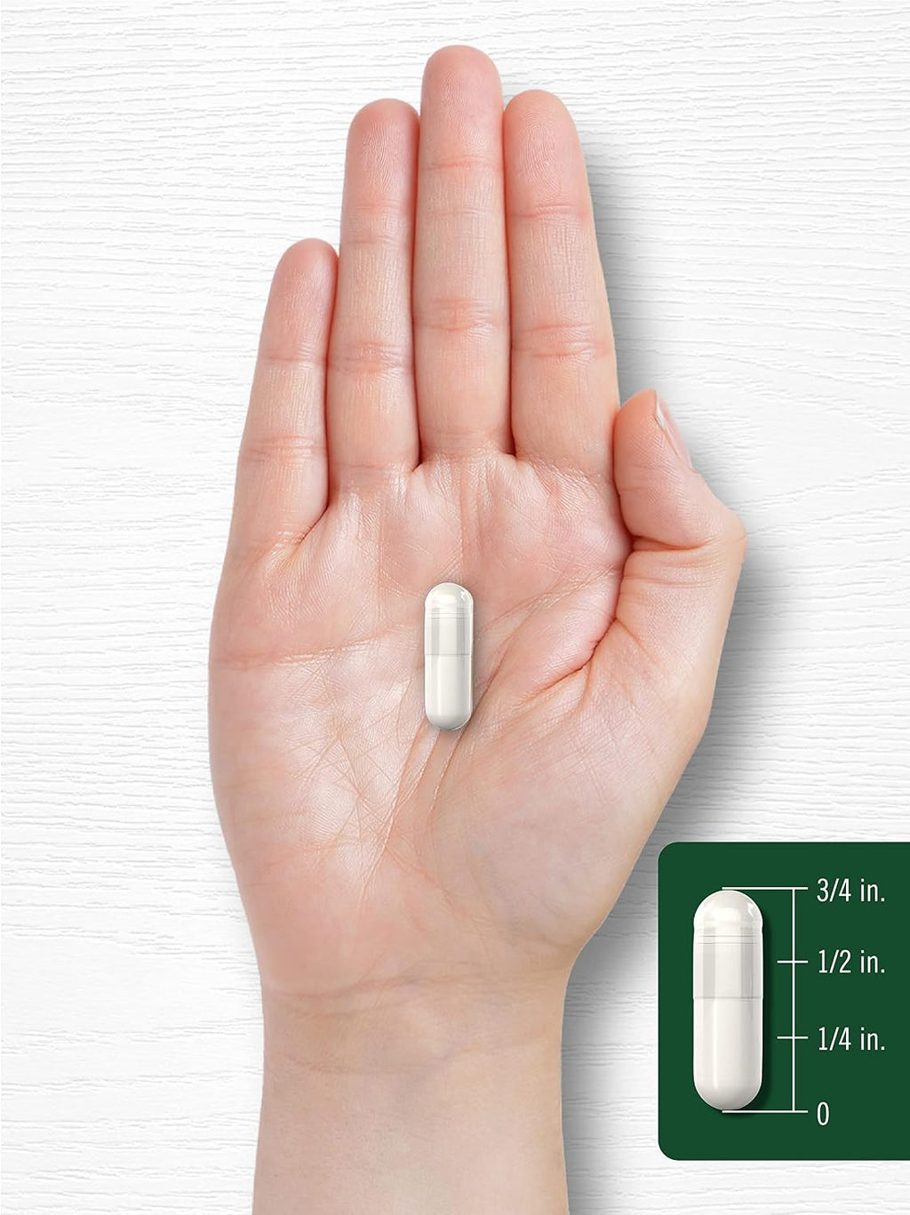 Carlyle Celery Seed Extract Capsules - 240 cápsulas - Suplemento herbal tradicional - Sin OGM y sin gluten
