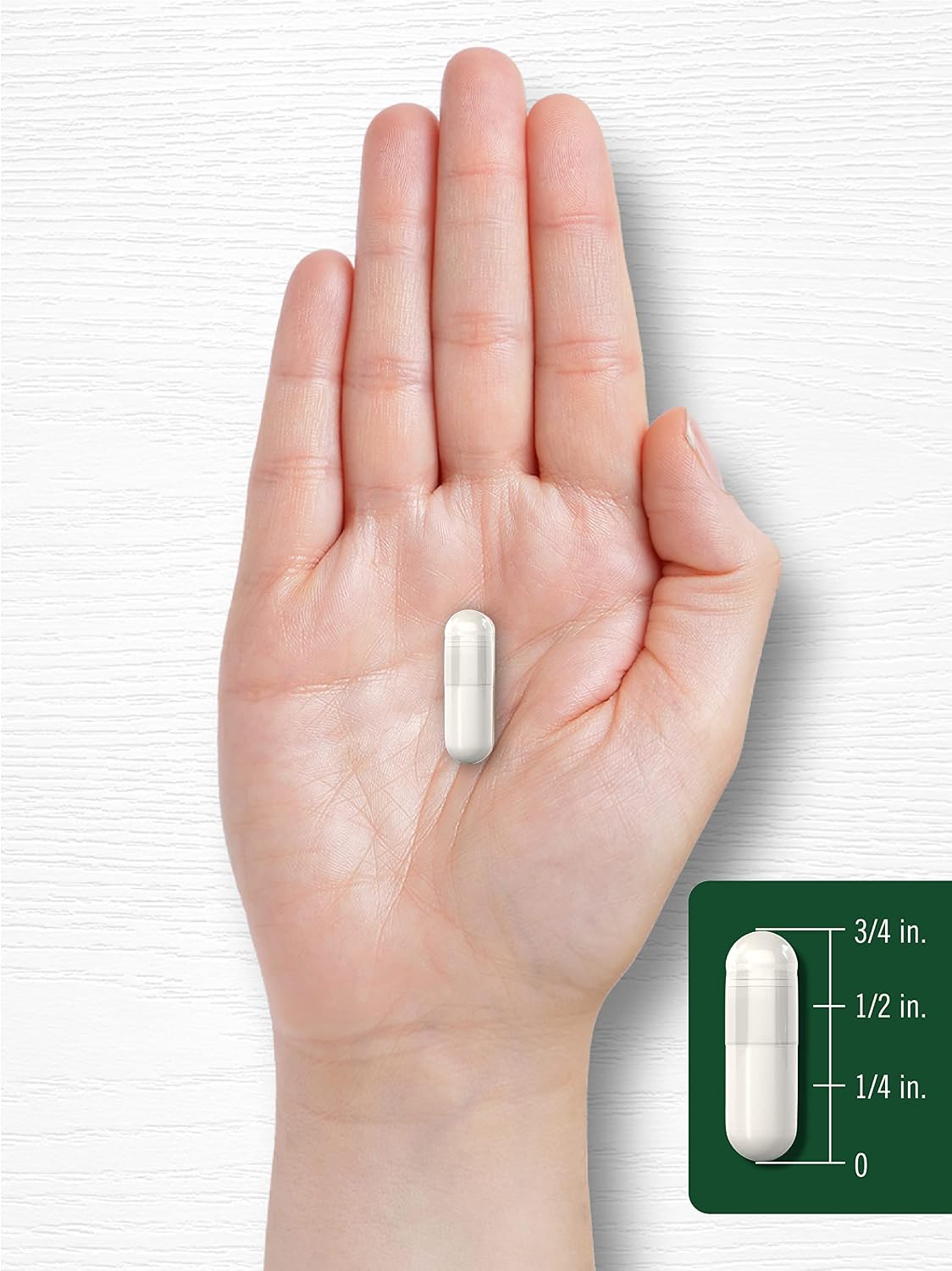 Carlyle Celery Seed Extract Capsules - 240 cápsulas - Suplemento herbal tradicional - Sin OGM y sin gluten