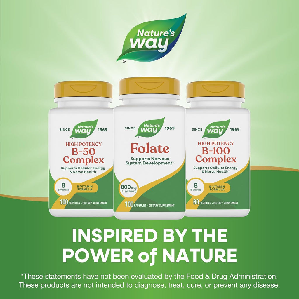 Ácido Fólico 800 mcg DFE – 100 Cápsulas de Nature's Way