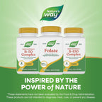 Ácido Fólico 800 mcg DFE – 100 Cápsulas de Nature's Way