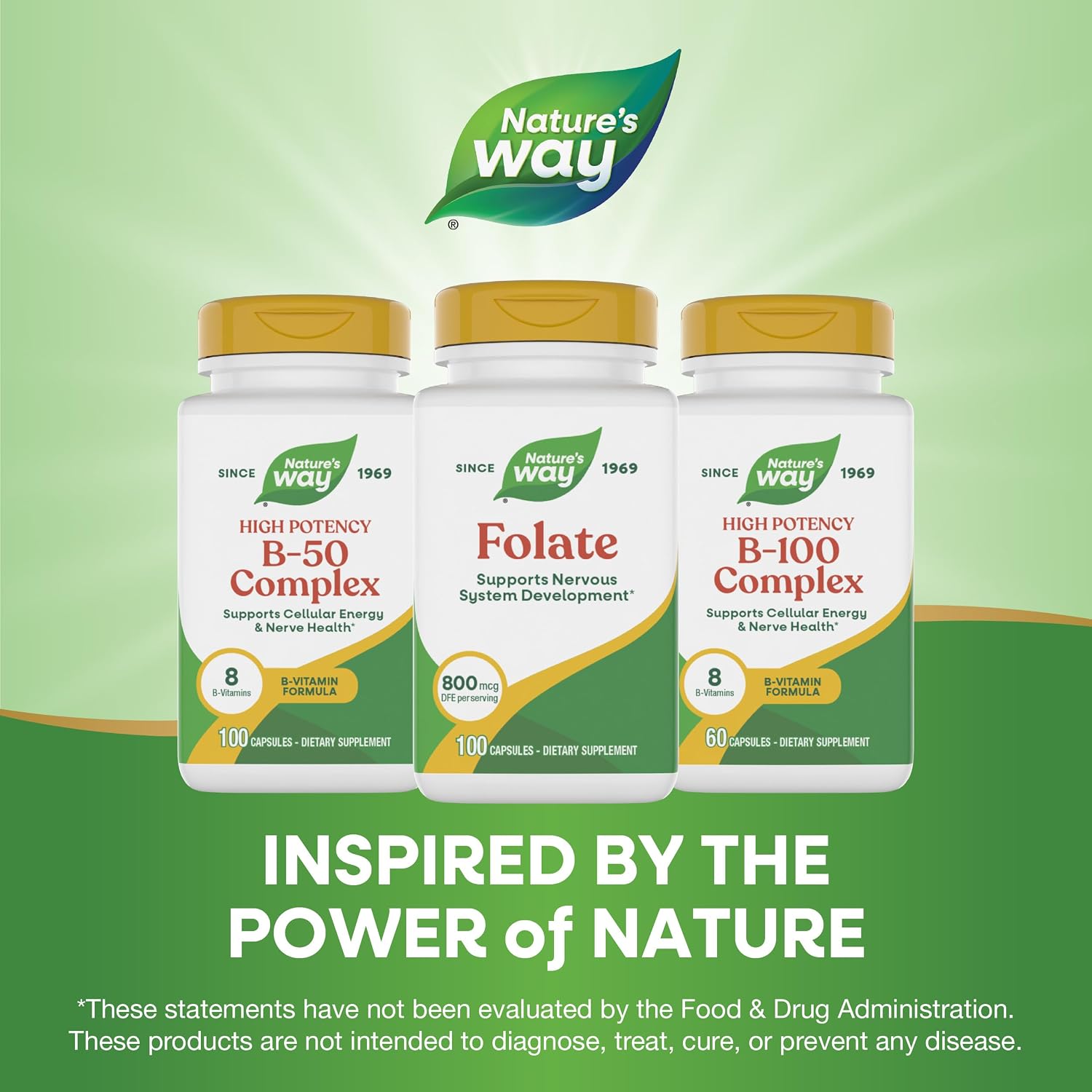 Ácido Fólico 800 mcg DFE – 100 Cápsulas de Nature's Way