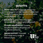 Berbercol | 500mg Citrus Bergamot (as Bergamonte) and Berberine | 60 Capsules