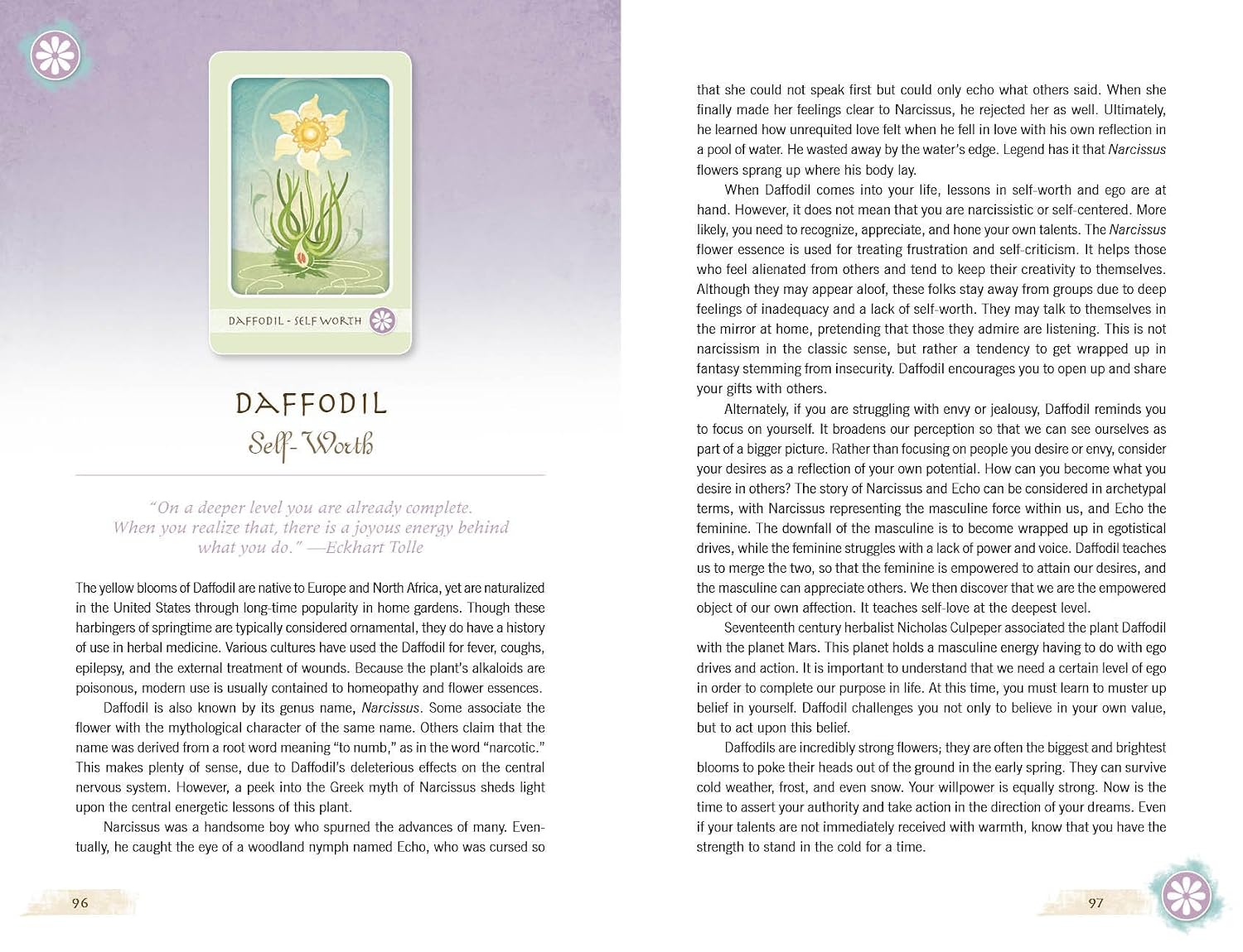 The Herbal Healing Deck: (Oracle Kit Box Set with 48 Cards and Guide Book)