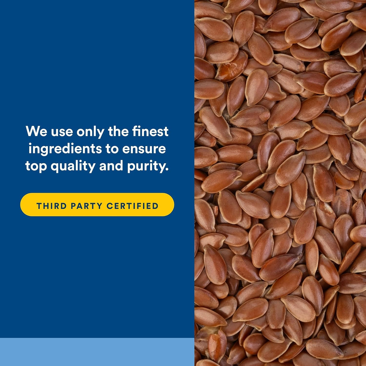 Natural Factors, Vitamina D3, 5000 UI, 240 Softgels – Image 5