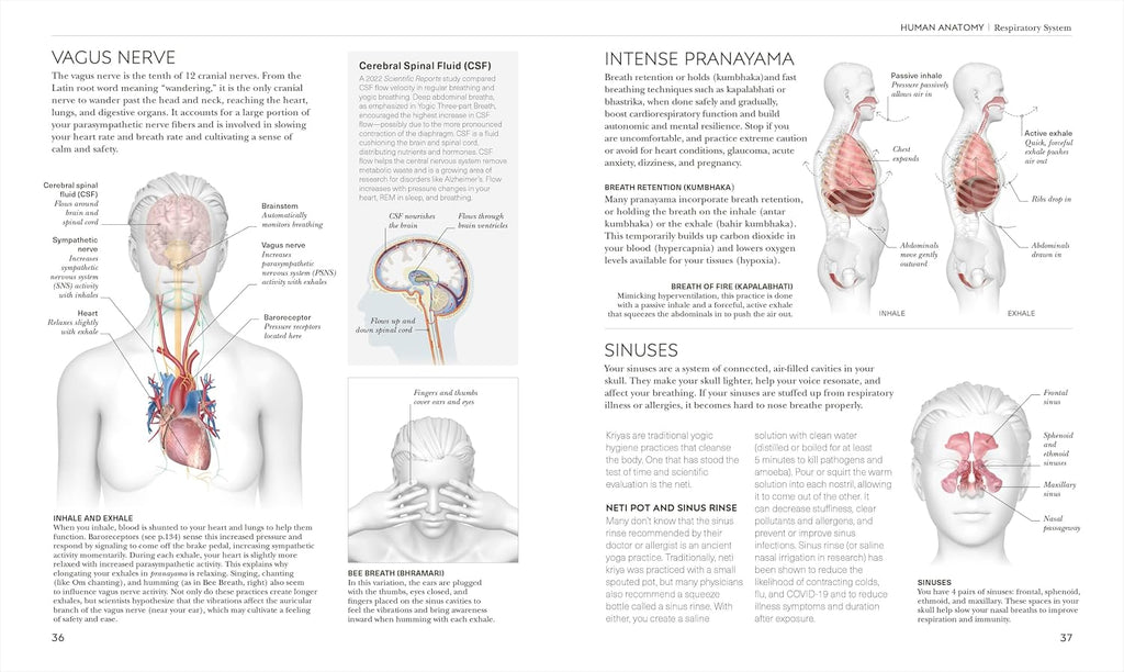 Science of Yoga: Understand the Anatomy and Physiology to Perfect Your Practice (The Science of Fitness)