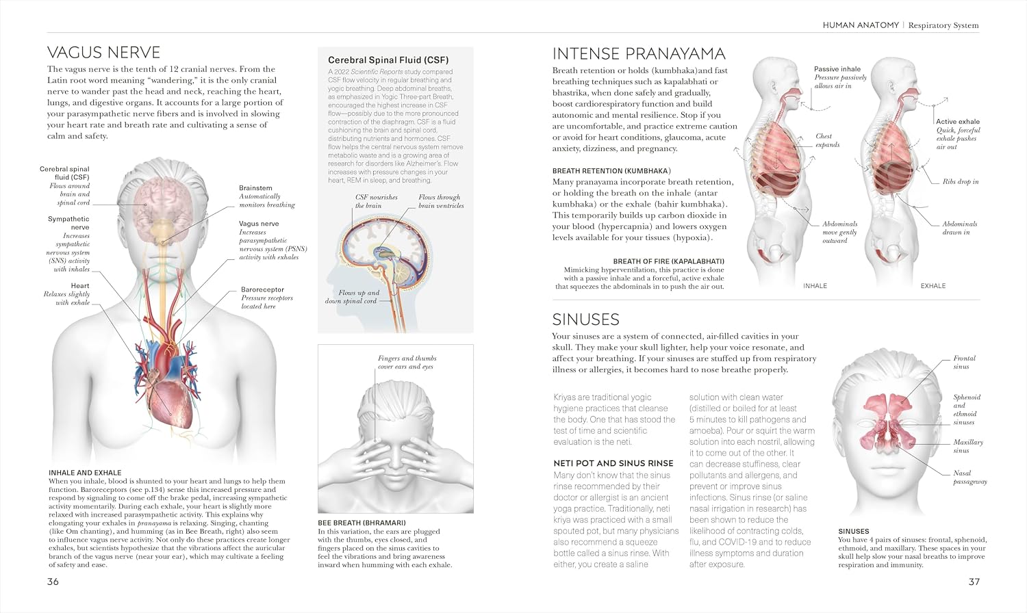 Science of Yoga: Understand the Anatomy and Physiology to Perfect Your Practice (The Science of Fitness)