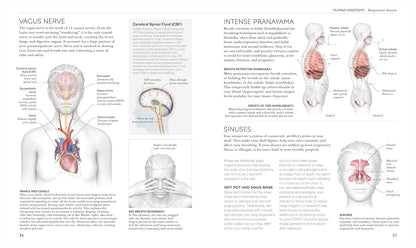 Science of Yoga: Understand the Anatomy and Physiology to Perfect Your Practice (The Science of Fitness) – Image 4