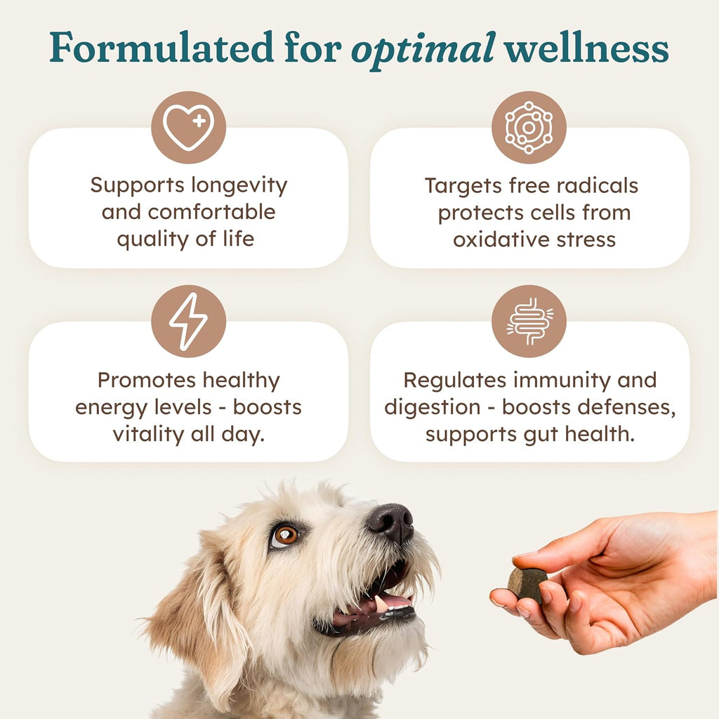 PetHeal Cancer Care Chews para Perros - Sabor a Cerdo - Apoyo para la Energía, Confort y Longevidad | Apoyo Inmunológico con Astrágalo y Bardana | Ayuda Digestiva | 30 Masticables Blandos, Revisado por Veterinarios