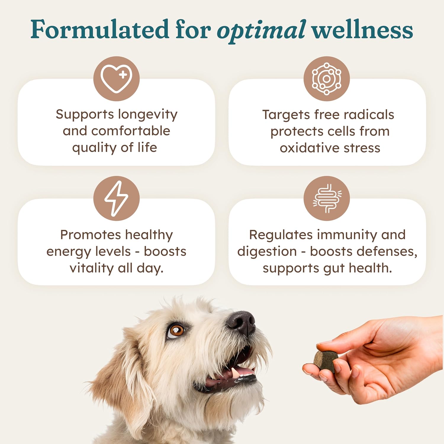 PetHeal Cancer Care Chews para Perros - Sabor a Cerdo - Apoyo para la Energía, Confort y Longevidad | Apoyo Inmunológico con Astrágalo y Bardana | Ayuda Digestiva | 30 Masticables Blandos, Revisado por Veterinarios