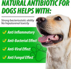 Antibióticos Naturales para Perros – Suplemento Herbal 60 ml