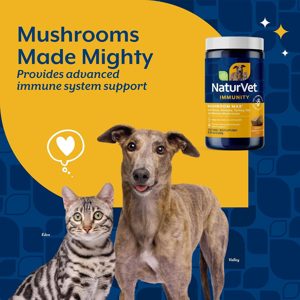 NaturVet Mushroom Max Suplemento Inmunológico Avanzado para Perros – Con Shiitake, Reishi y Cola de Pavo – 120 Comprimidos