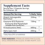 FullWell Fertility Booster - Apoyo a la Concepción para Hombres y Mujeres - Favorece la Calidad del Óvulo y el Esperma - Salud Reproductiva - CoQ10, Ashwagandha, NAC y ALA - 60 Cápsulas, Paquete de 2 (60 porciones)