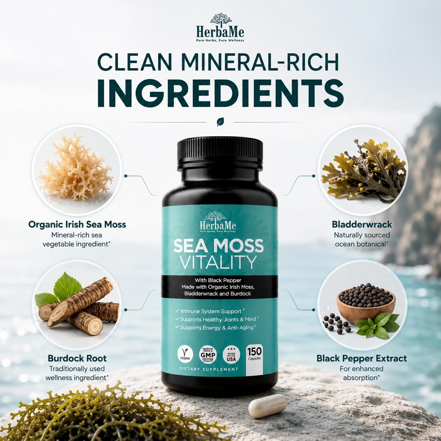 HerbaMe Musgo de Mar Orgánico con Bladderwrack, Bardana y Pimienta Negra - 150 Cápsulas Vegetales